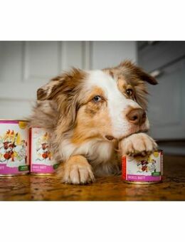 Anifit Futterprobe, natürliches & artgerechtes Hundefutter - Duisburg