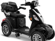 Rolektro Elektromobil Rolektro E-Quad 25 V.3, Lithium Akku, 25 km/h, (mit Topcase)