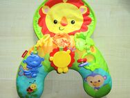 Spielkissen von Fisher-Price - Flintsbach (Inn)