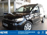 VW Caddy, 2.0 l TDI Life, Jahr 2024 - Blomberg (Nordrhein-Westfalen)