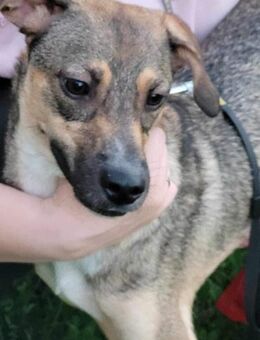 NERO voller Hoffnung 🆘🆘🆘 - München