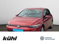 VW Golf, 1.0 8 VIII eTSI Life, Jahr 2023 - Hildesheim