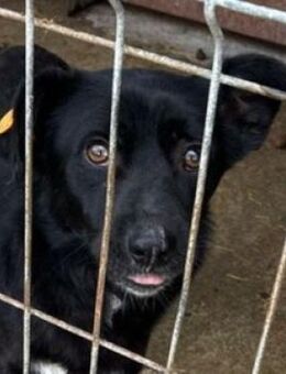 LIAS ist sehr lieb - Hof