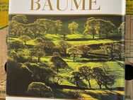 Buch - Bäume: Die Wald- und Gartenbäume der Welt - Schwalmstadt
