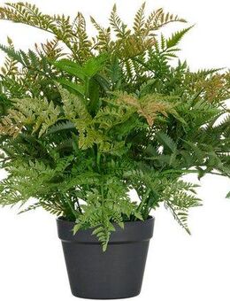 Kunstpflanze Farn, Creativ green, Höhe 60 cm, in UV-beständiger Ausführung