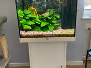 Juwel Aquarium 120 l komplett - Osnabrück