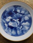 Wandteller , Motiv Blumen - Blüten , Goldrand , Meißen 1.Wahl , DDR , Porzellan , Durchmesser 25,5cm in 02828