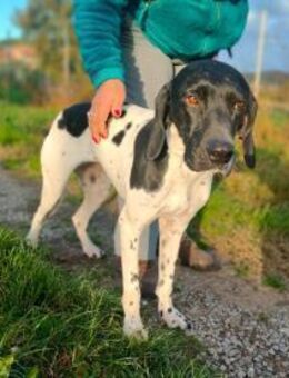 Sofia freundlich, sportlich, entspannt - Würzburg