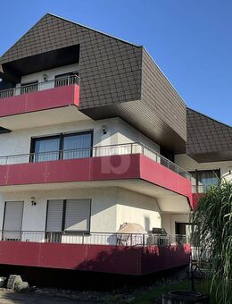 PLATZ FÜR DIE GANZE FAMILIE UND MEHR - Bischweier