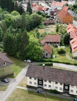 Renovierte 2-Zimmer-Wohnung im Grünen – Walkenried 6311.10304 - Zorge