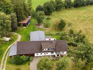 gepflegter Resthof mi 18.750 m² direkt am Haus und Stall sowie Offenstall - ideal für Pferdefreunde - Brest