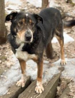 LEVA-liebevolle Familue gesucht - Mainhardt