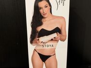 Fleshlight Girls Stoya Destroya Masturbator - Dudenhofen