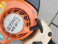 Stihl Heckenschere MS81 R - Lübeck