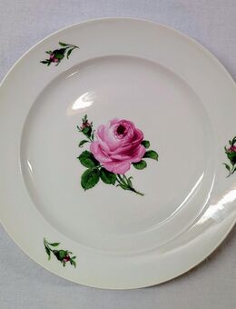 Original Meissen Porzellan Teller Ø 24cm Wildrose Rose - Mendig