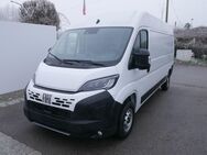 Fiat Ducato, L3H2 5 ZOLL INFO HECKTÜRE 260°, Jahr 2024 - Achern