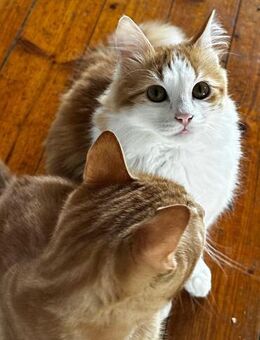 Kleiner Moritz möchte Welt entdecken! - Bergkirchen