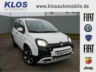 Fiat Panda, 1.0 CROSS CITY PLUS HYBRID GSE TECH, Jahr 2022 - Kirn