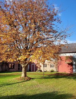 --Hofanlage mit 3 ha am See-- - Preetz (Schleswig-Holstein)