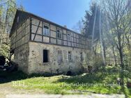 (A1549) Altes Haus, viel Grundstück und Alleinlage - Sanierungsobjekt mit vielen Möglichkeiten - Remptendorf