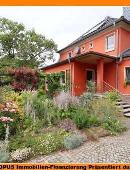 Gepflegtes Einfamilienhaus (Einliegerwohnung möglich) in beliebter grüner Lage von Meißen angrenzend an das Spaargebirge - Meißen