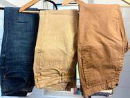 3 Herren Jeans/Hose Springfield, Esprit + Exist, Zustand gut - Lottstetten