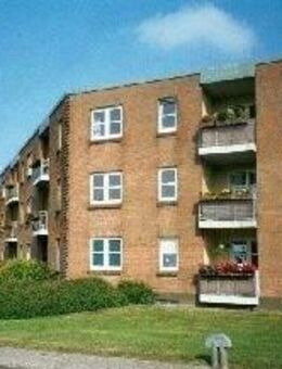 3 Zimmer in Flensburg - Flensburg