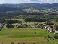 Panoramalage Hochschwarzwald - 18 Hektar Bauland, besser gehts nicht - Sofortverkauf ! - Lenzkirch