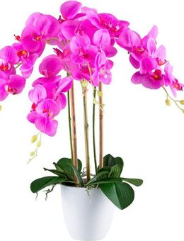 Kunstorchidee Orchidee Phalaenopsis, Creativ green, Höhe 62 cm, mit real-touch-Blüten