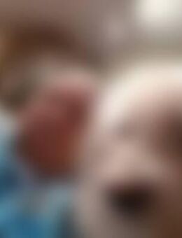 Cok*** - Greven (Nordrhein-Westfalen)