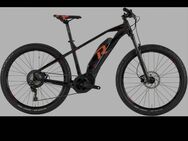 E-BIKE Raymon E-Nineray 7.0 - Gladbeck