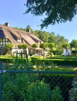 Liebhaber Objekt - Charmantes reetgedecktes Landhaus in exponierter Lage mit großzügigem Grundstück - Warmsen