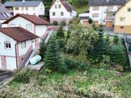 Großes Baugrundstück mit angrenzendem Einfamilienhaus und 5 Garagen - Flörsbachtal