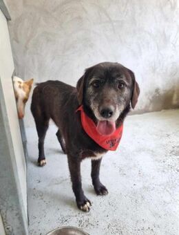 Freundlicher Oliver - Eichenzell