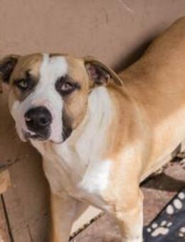 FERRO - ich freue mich über Kontakte - Overath