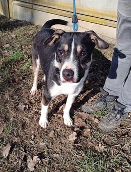 Wer verliebt sich in den hübschen Frank - Dortmund