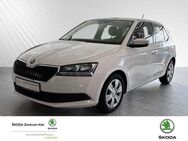 Skoda Fabia 1.0 TSI Cool Plus Klima Fenster el. - Kiel