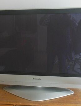 Fernseher - Panasonic TH - 42PV60E, gebraucht, guter Zustand - Neustadt (Weinstraße)