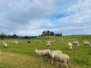 Ein Areal der Träume: Ihr Fenster zur Realisierung Ihrer Visionen. - Horgau