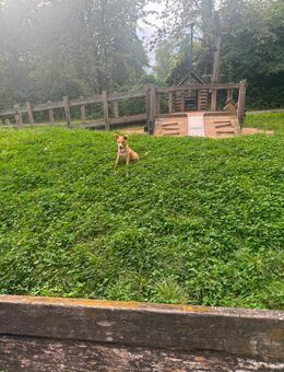 Suche einen Freund - Köln