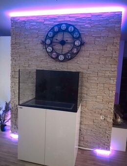 Waterbox 100.3 Riffaquarium - Neuwertig - Komplettset Meerwasser - Aichhalden