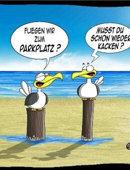 Lustige Postkarte Parkplatz Hösti Maritim Möwen maritimes Motiv - Hamburg