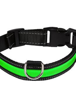 Eyenimal LED-Leuchthalsband - grün - Größe M: 45 - 55 cm Halsumfang, 25 mm breit