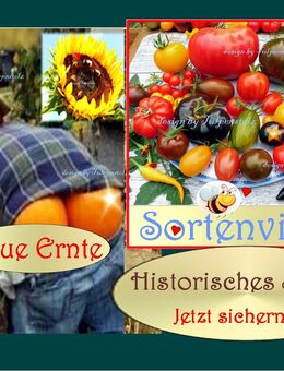 ♥ ,BIO, samenfestes ,Saatgut, Alte, Sorten,Tulpenstolz,Tomate,Gurke ,Marketmore,Tanja,schwarze,rot,gestreift,groß,Samen,Bienenweiden,Kräuter,Zucchini,Nektar,Sonnenblumen,Salbei, - Hamburg