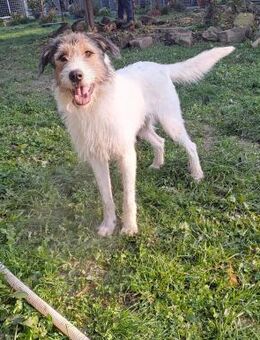 Junge Mia möchte endlich ihre Familie - Laufen