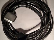 Philips Scart-Kabel 5 m - Essen