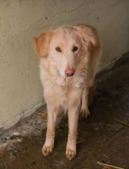 SUNNY - ich will das doch alles lernen - Overath