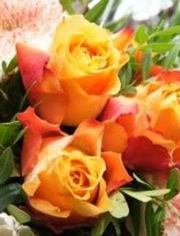 Suche Frau zum Heiraten - Zwickau