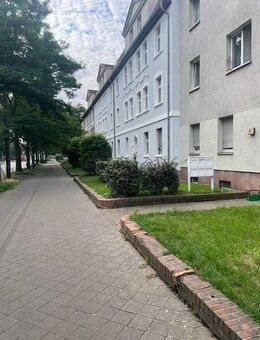 Wohnen im Grünen!!!Erstbezug nach Renovierung!!! Alles schick und modern mit Balkon zum Hof! - Magdeburg