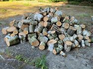 Birken Holz zu verkaufen - Petershagen